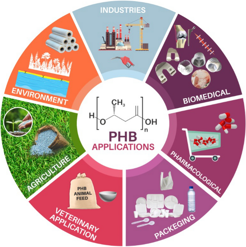 PHB MỘT LOẠI PHA TIỀM NĂNG